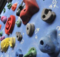 closeup of climbing holds on indoor wall